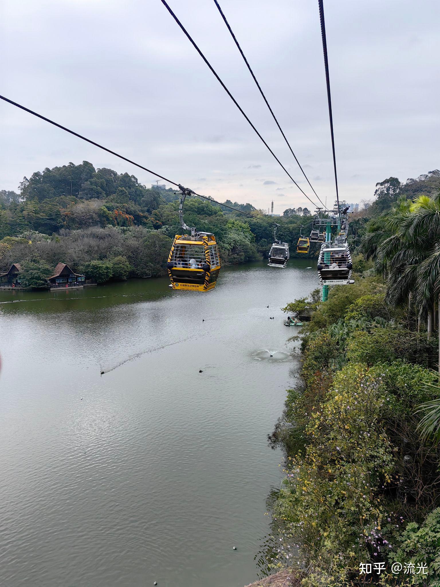 粤港澳大湾区风景图片