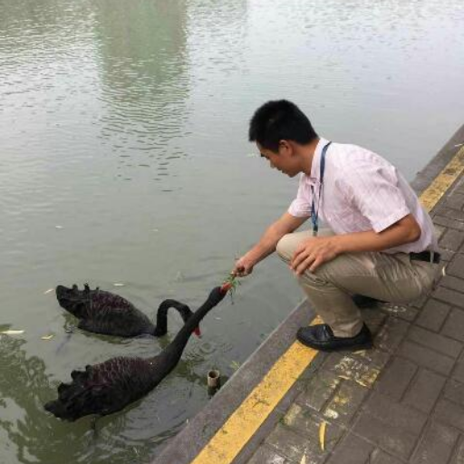 大漠风光