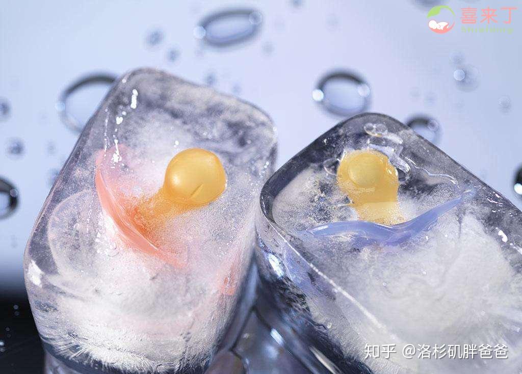 胖爸爸试管婴儿冷冻卵子和冷冻胚胎你知道差别在哪吗