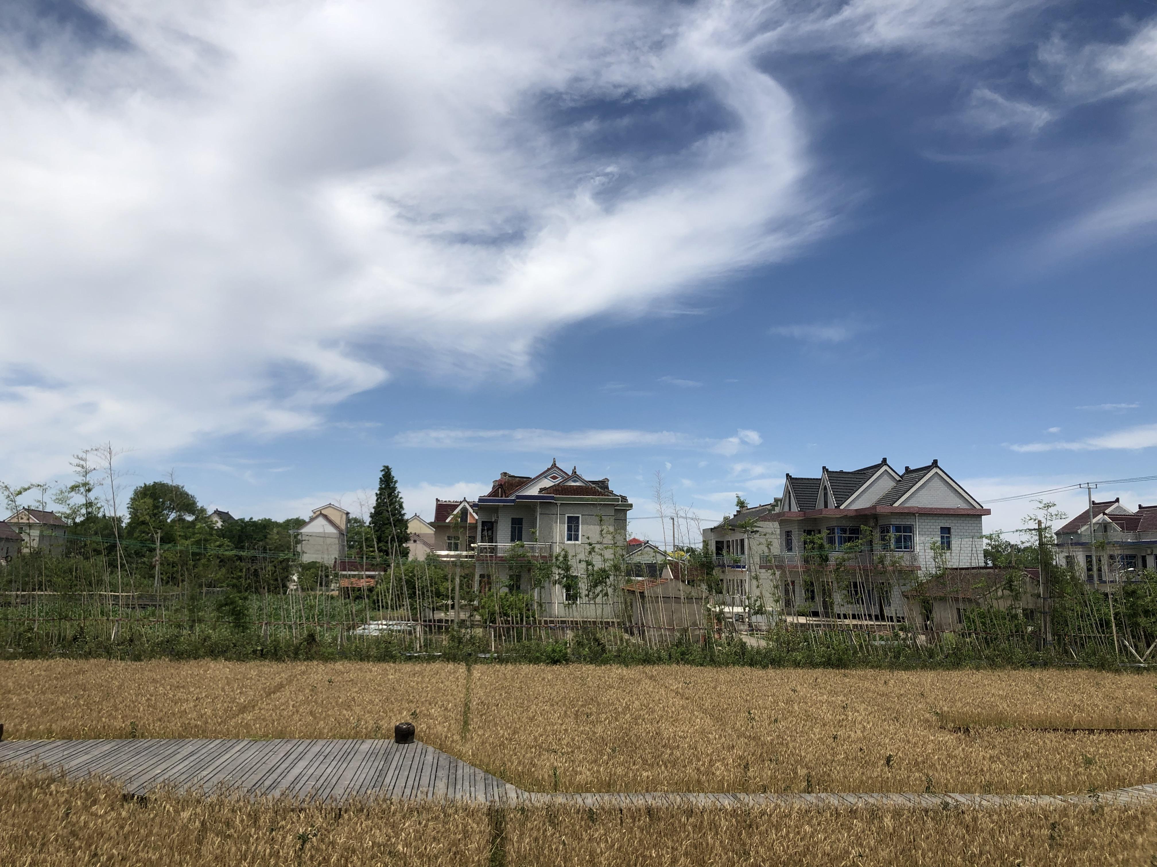 椿庭朴门人物篇