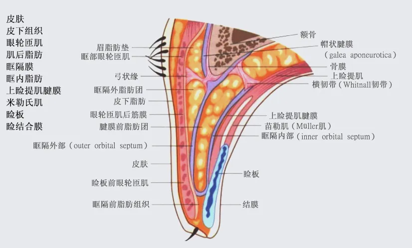 选公立医院还是私立医院好?双眼皮全面攻略来了!