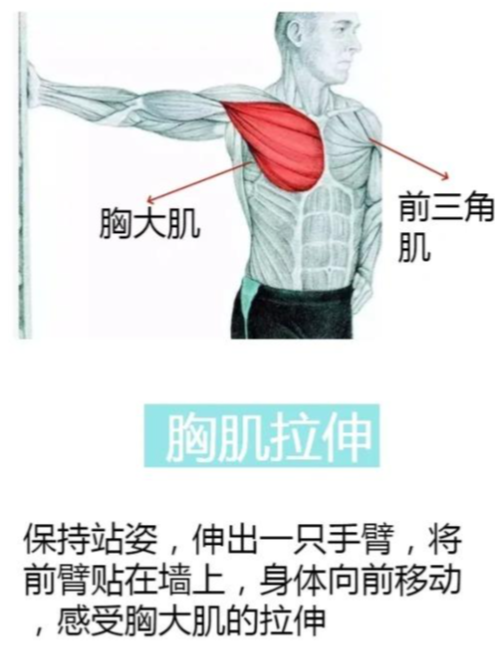 肱骨前移怎么办？ - 知乎