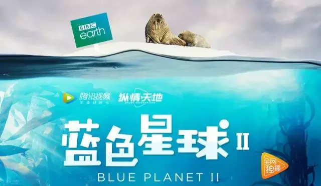 最美纪录片蓝色星球2归来每一帧都是壁纸美到窒息
