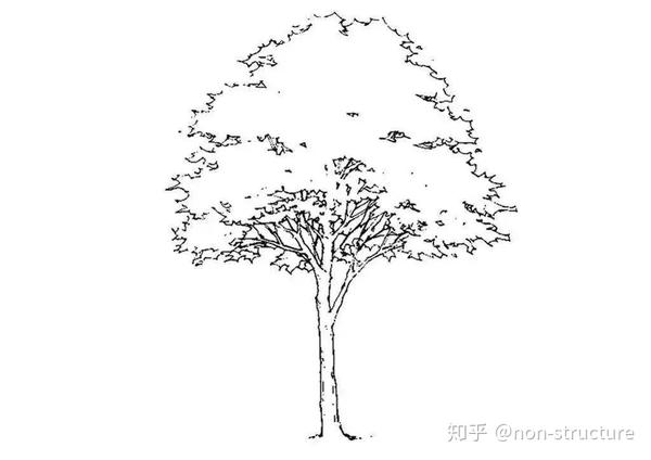 从拓扑优化看“树形柱”的生长 - 知乎