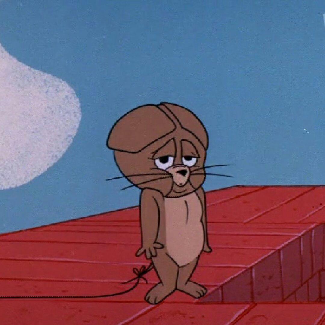 你用过的最好看的全面屏手机壁纸或头像是什么样的