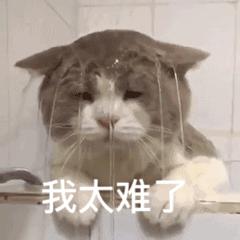 动图封面