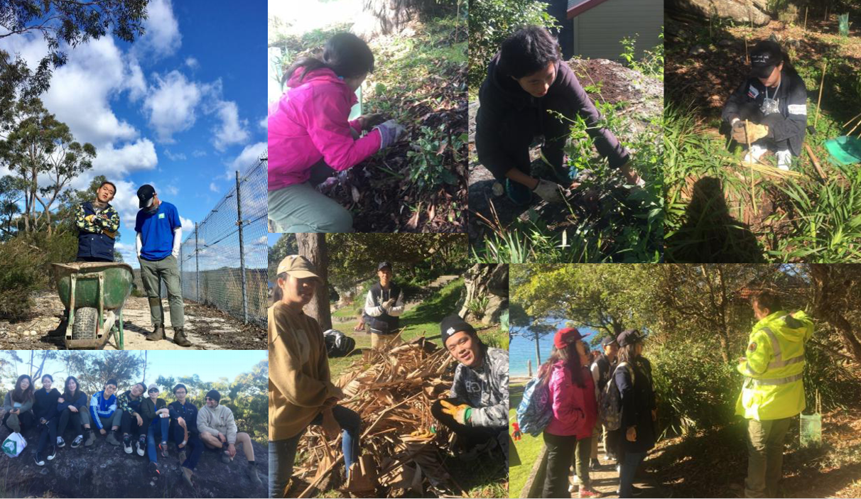 via澳洲国际义工旅行