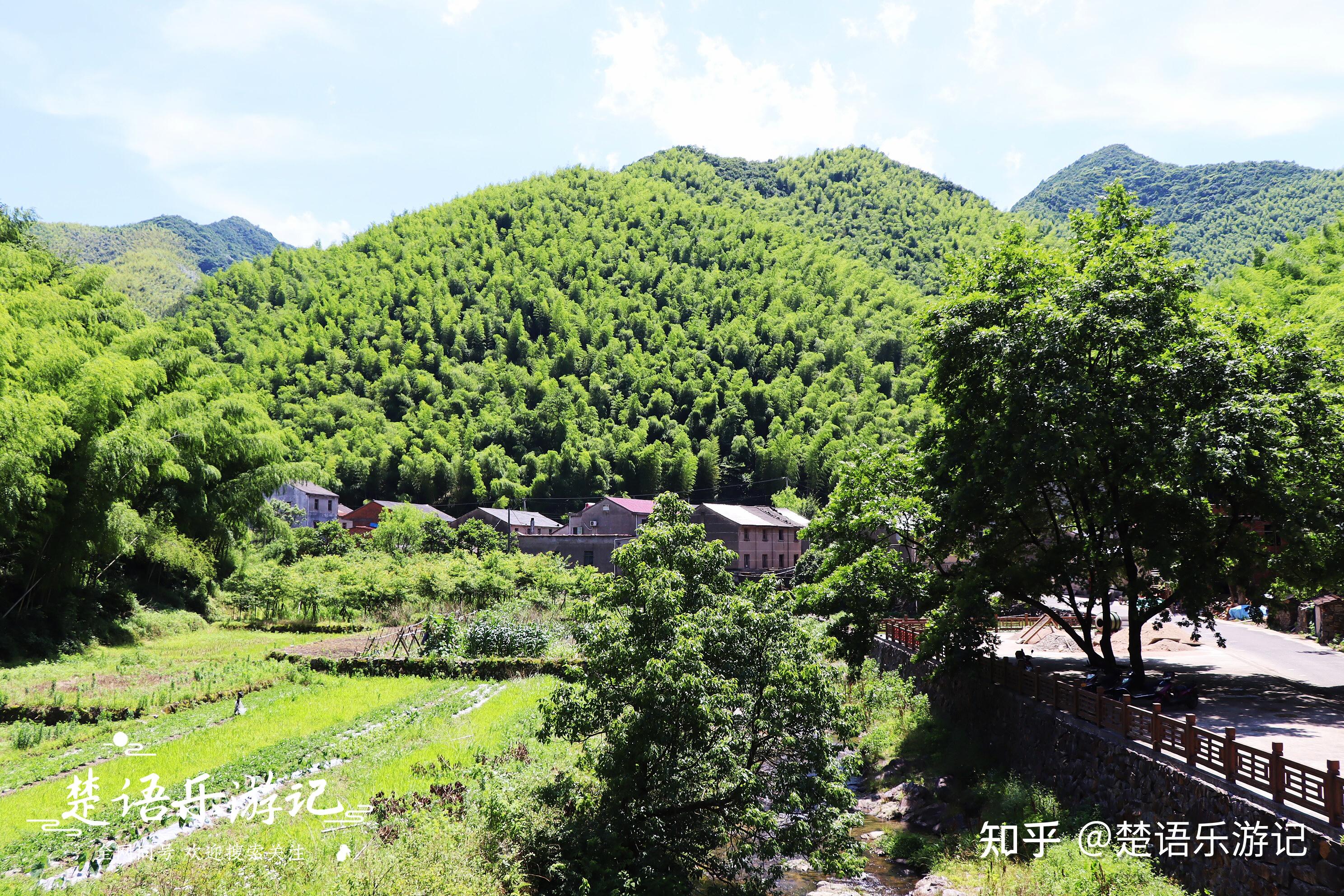藏于奉化山岙的古村,依山傍水、梯田古道,少有人来但是景色清秀 - 知乎