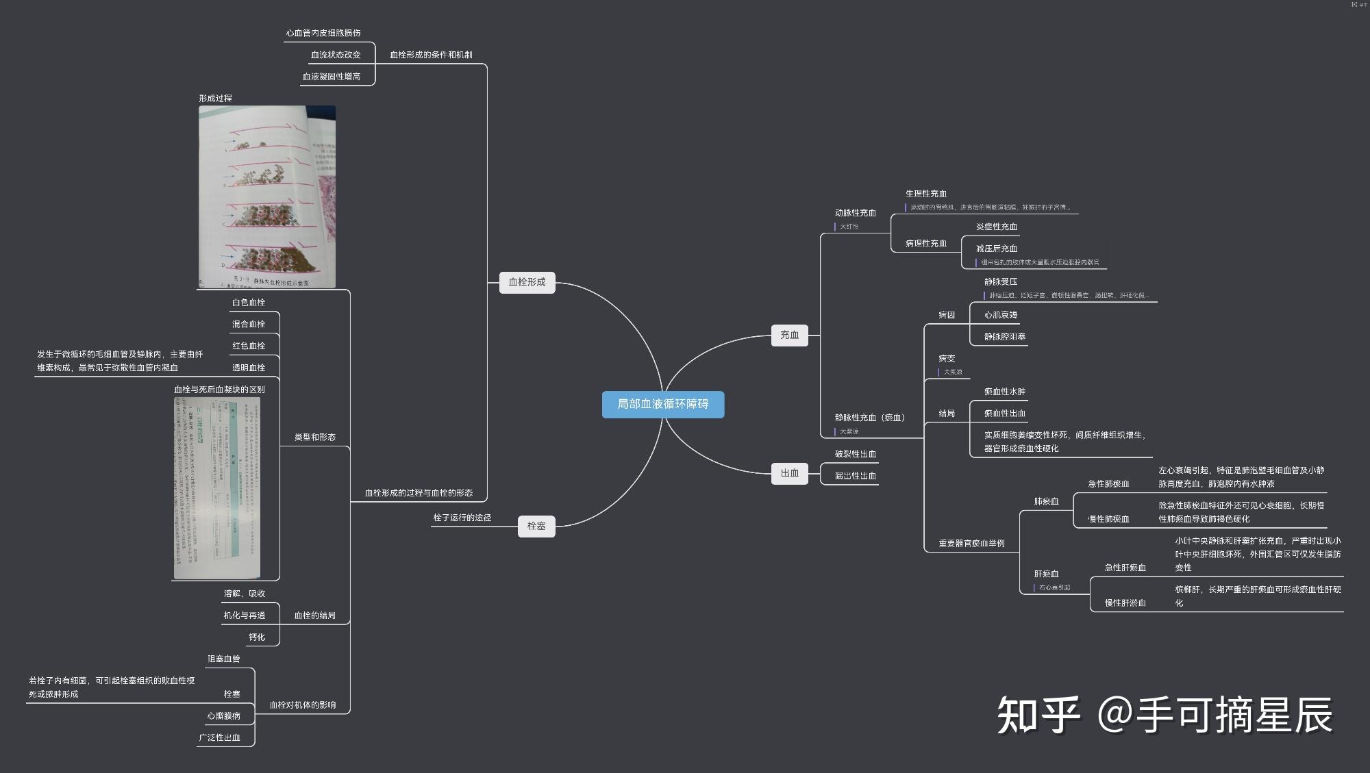 病理學思維導圖持續更新