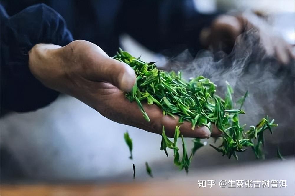 普洱茶杀青工艺对其品质的影响有哪些? - 知乎