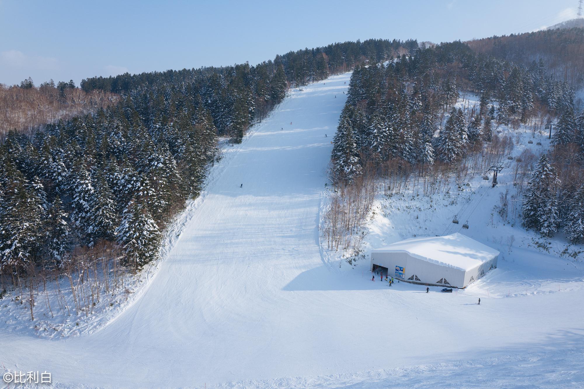 北海道的白色森林留寿都滑雪场