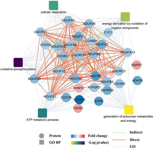 nc-cytoscape