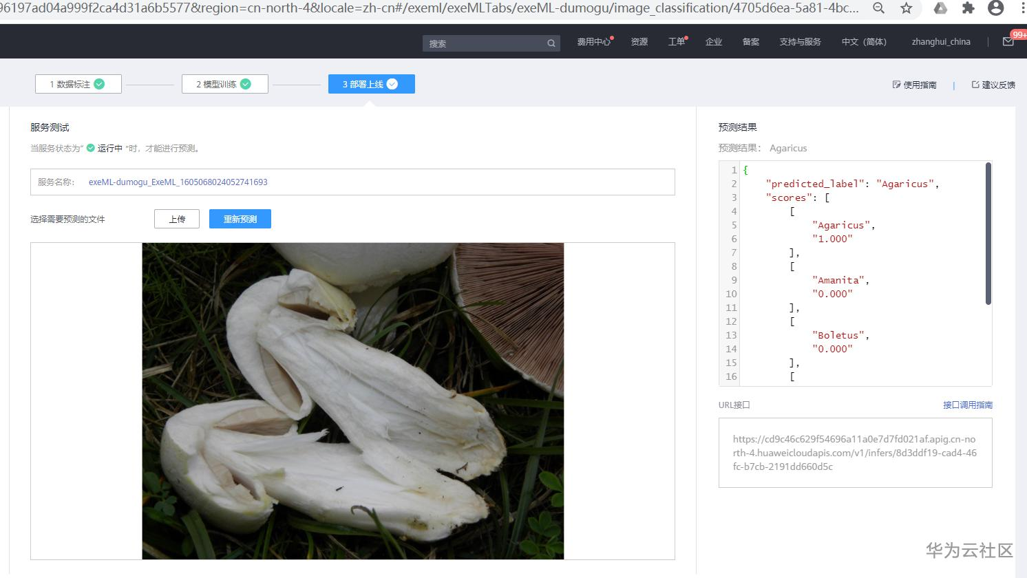 手把手教你使用ModelArts的自动学习识别毒蘑菇分类 手把手教你使用ModelArts的自动学习识别毒蘑菇分类
