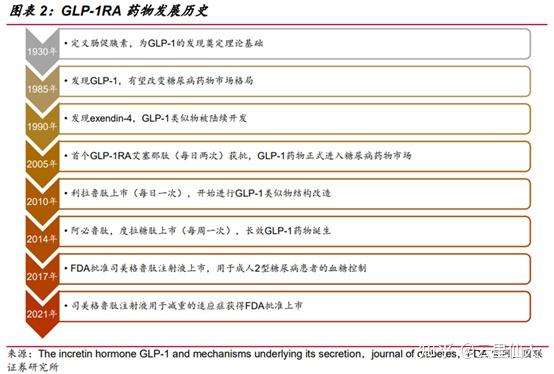 PDFGLP-1 - What to Expect - attractwell-1563-standard.b-cdn.net