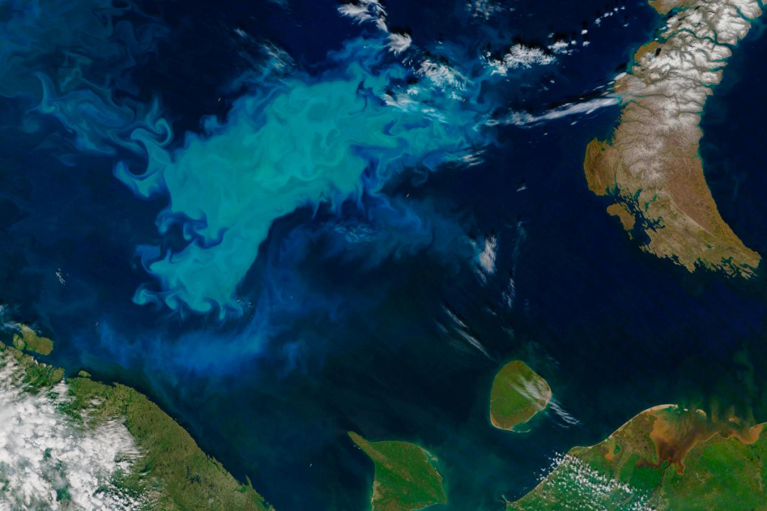 遥感监测有害蓝藻水华过度生长我们能怎么做