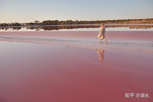 粉红盐湖见过吗 维密天使willow Hand带你发现袋鼠岛的美 知乎