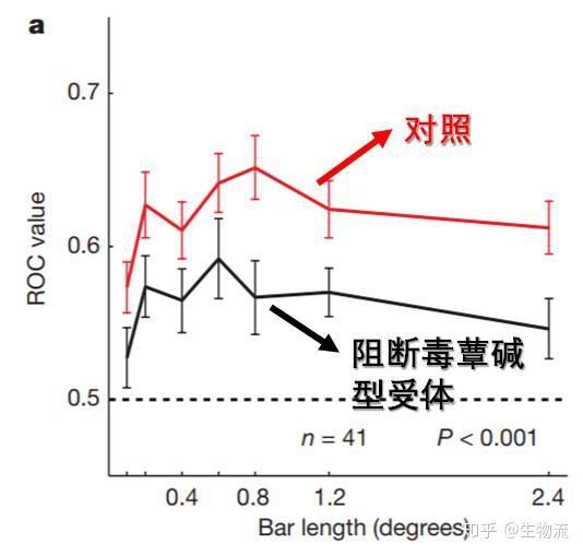 乙酰膽鹼和視覺空間注意