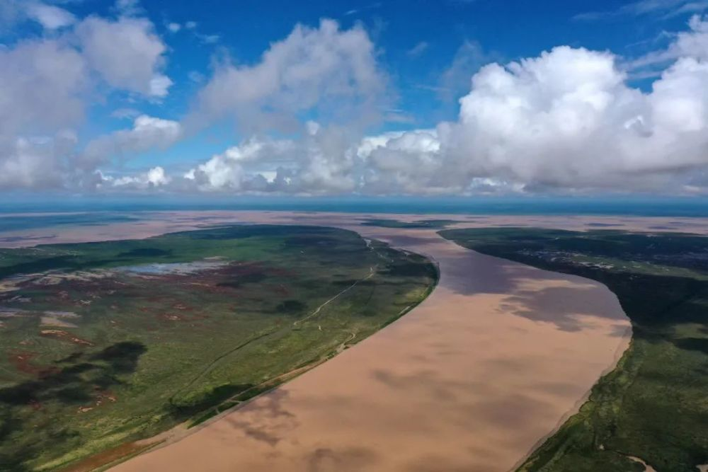 黄河三角洲湿地面积图片