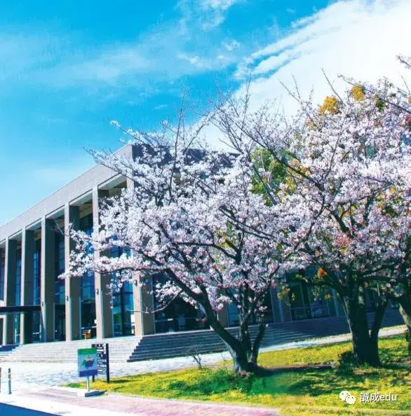 日本大学介绍可能是日本唯一一所有忍者的大学三重大学