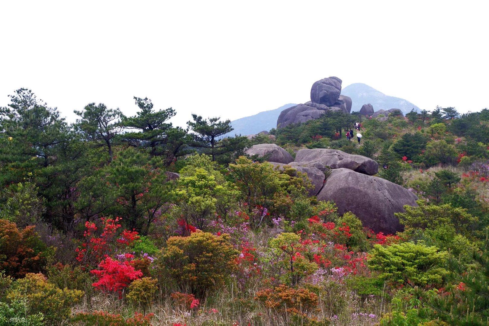 游凤山十八股头有感