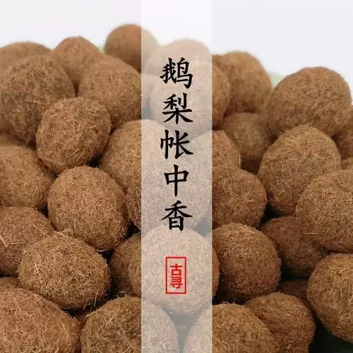 哪一种是真正的”鹅梨帐中香“？ - 知乎