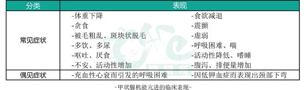 猫咪常见病系列之u2014u2014甲状腺机能亢进- 知乎