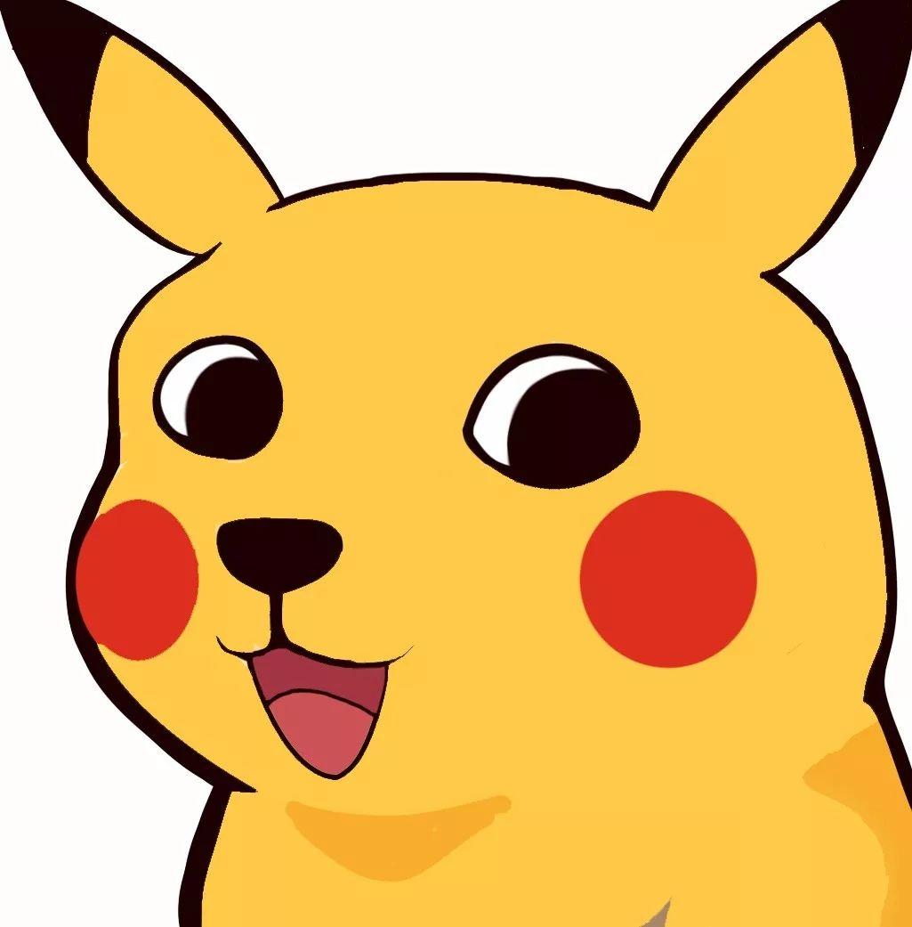 不同生物体细胞的大小和形态与功能有什么联系