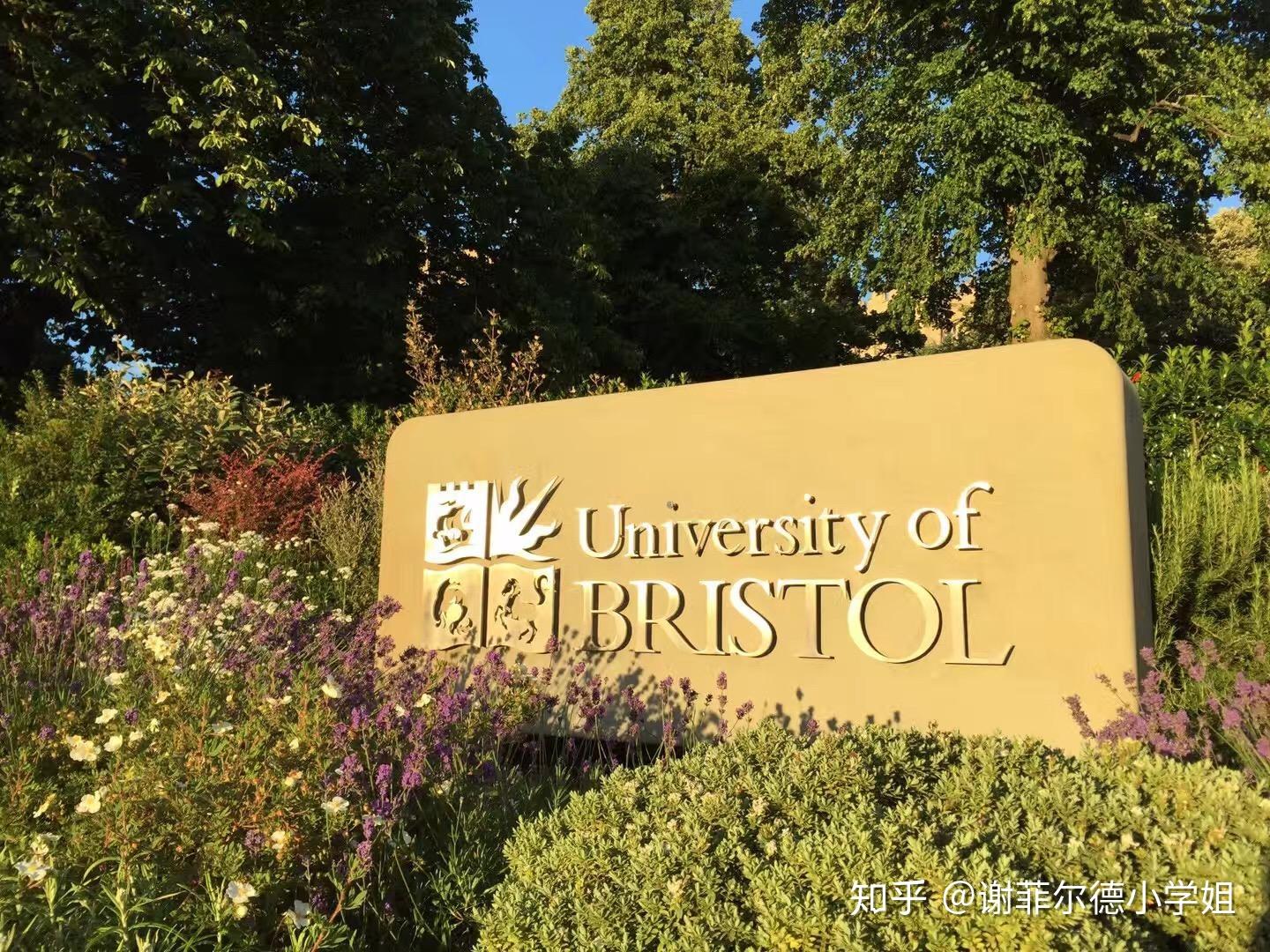 方向还有疑问,可来看小学姐哦msc medical statistic医学统计硕士msc