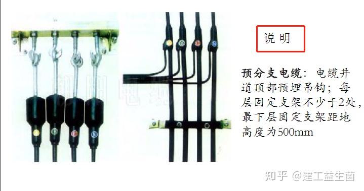 预分支电缆安装图图片