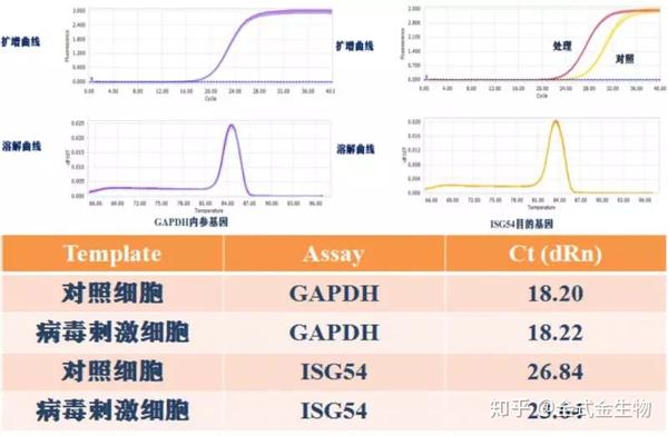 【从RNA提取到qPCR】qPCR实验设计及案例分析 - 知乎