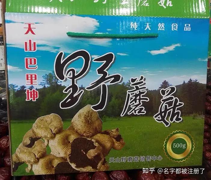 新疆哈密-----巴里坤野蘑菇96