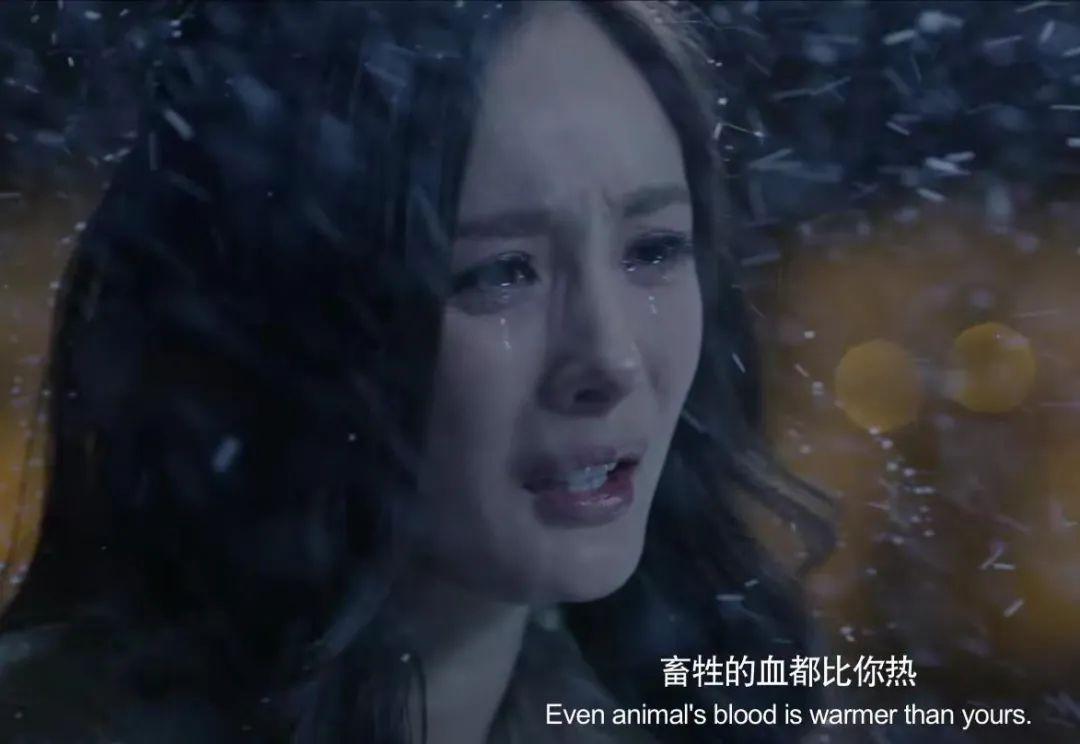 祝顾里生日快乐