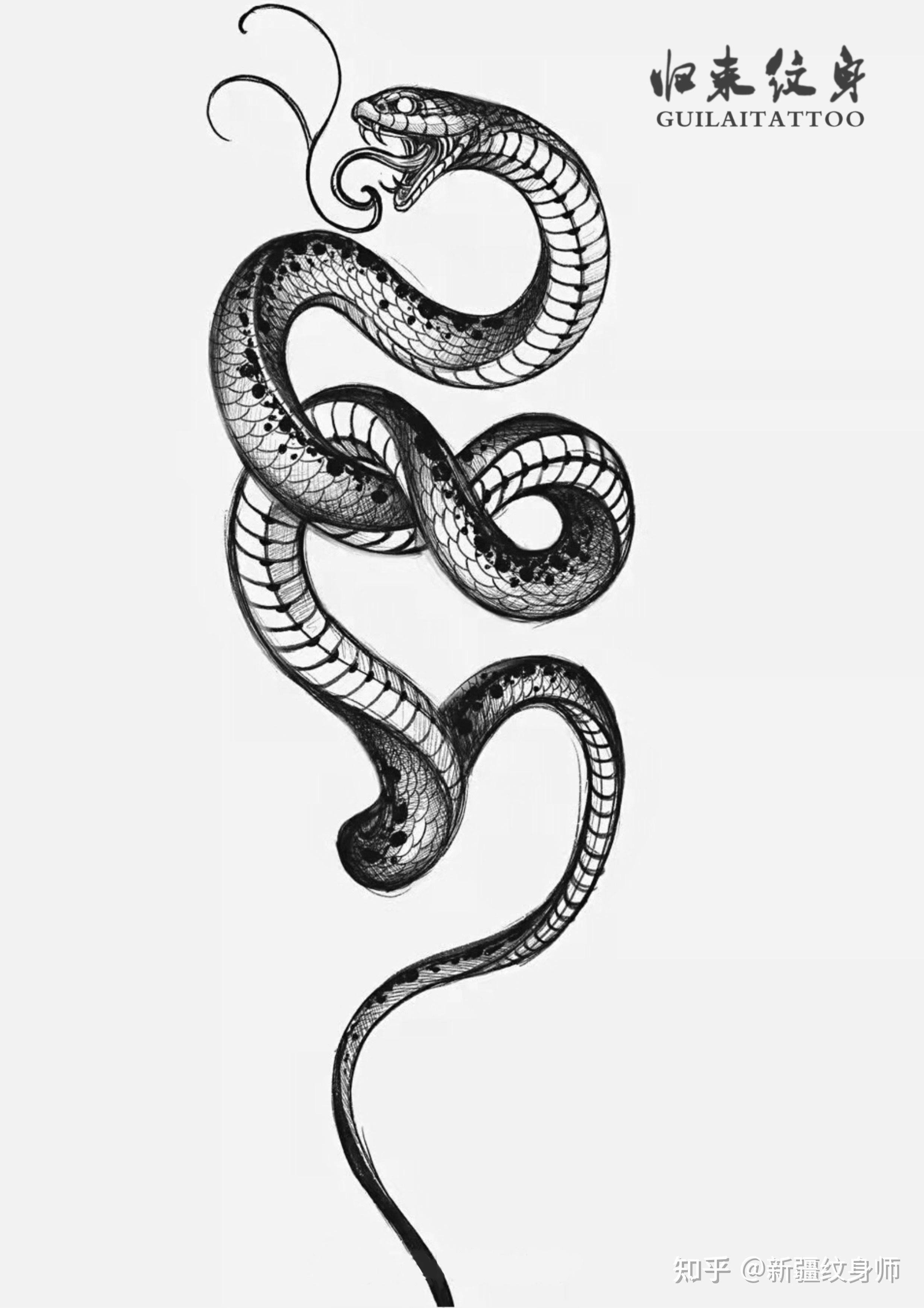 蛇骨纹身手稿图片