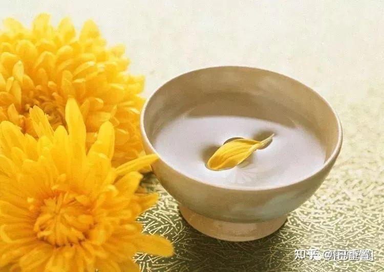 饮菊花酒