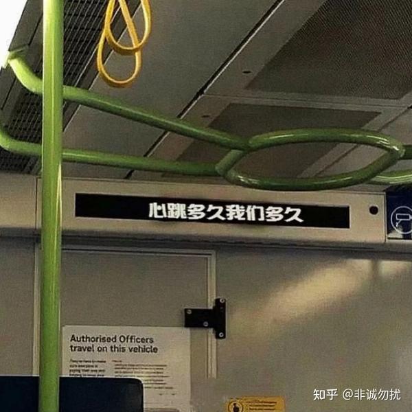 无关爱情文案甜(无关情爱的高质量温柔文案)