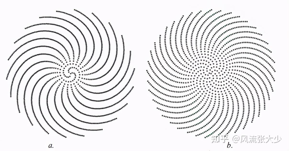 费马螺旋线与雏菊植物生长曼荼罗