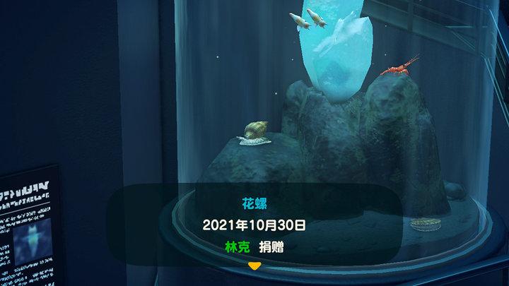 动物森友会》(以下简称「动森」)的 2.