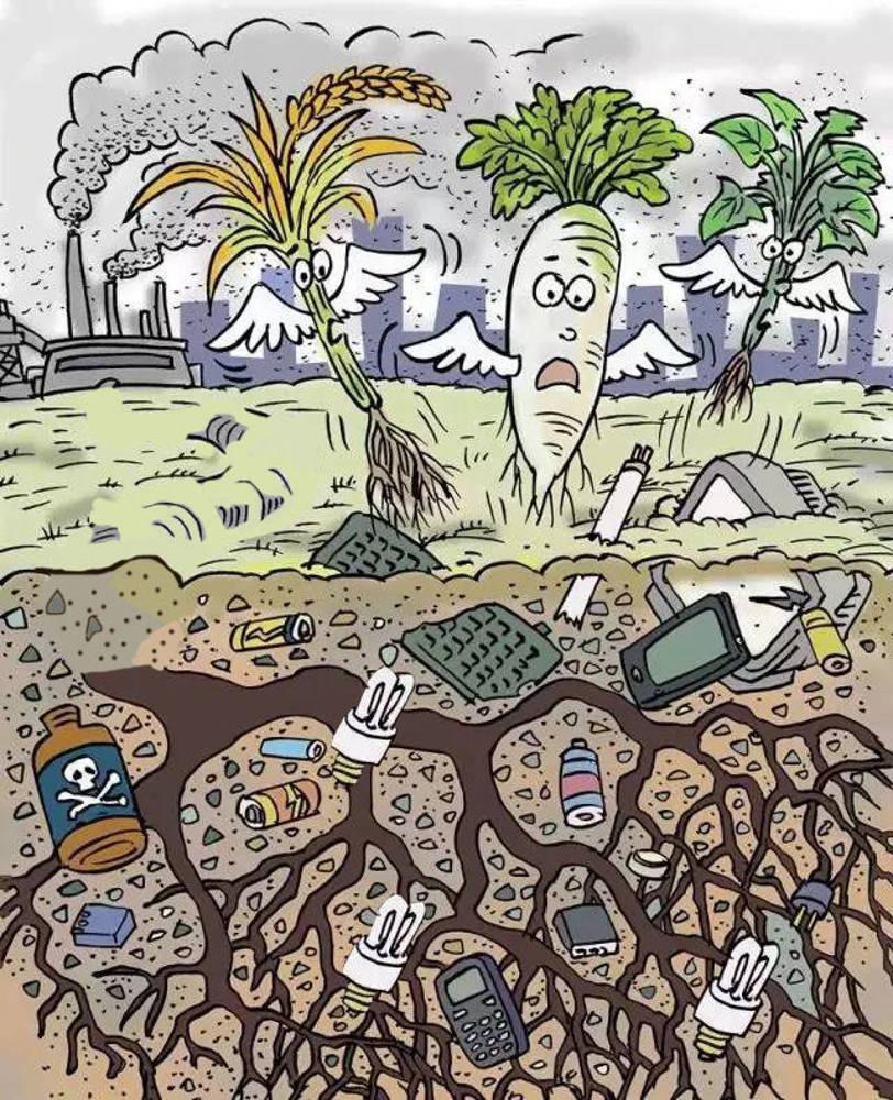 垃圾食品的危害漫画图片