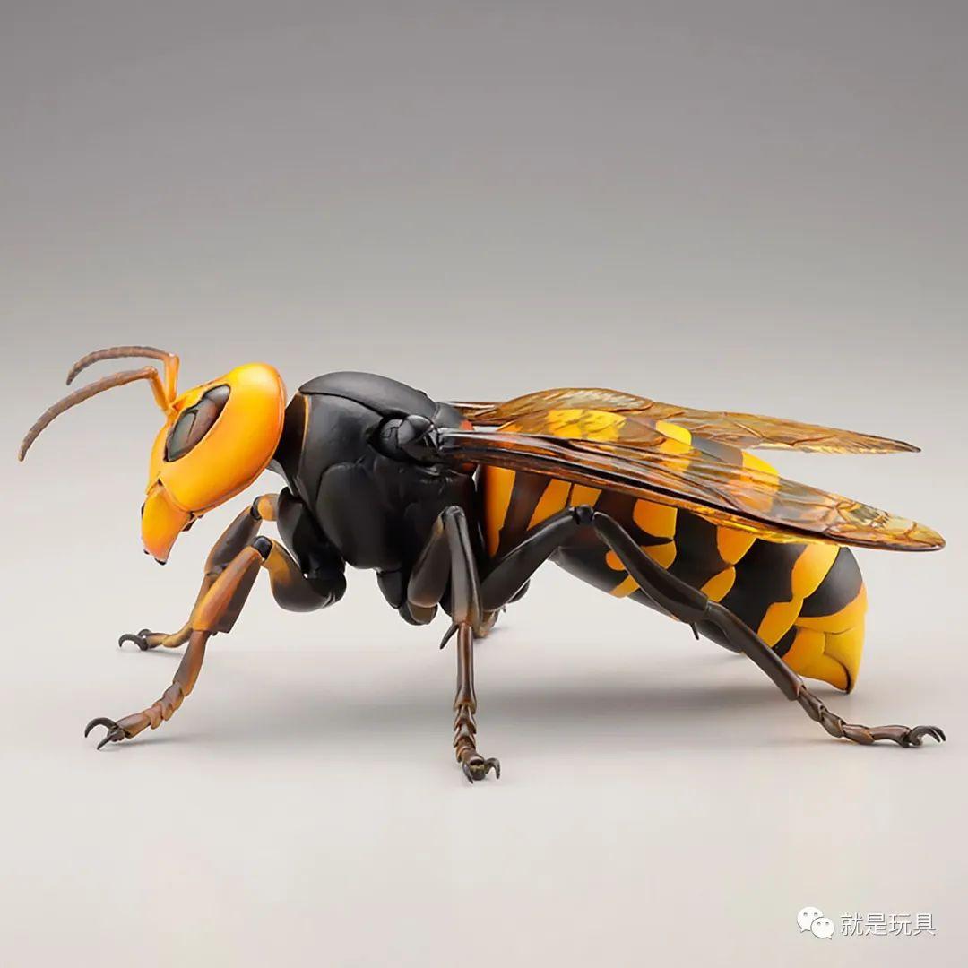 海洋堂"究极可动生物"!这才是大黄蜂的真.大哥