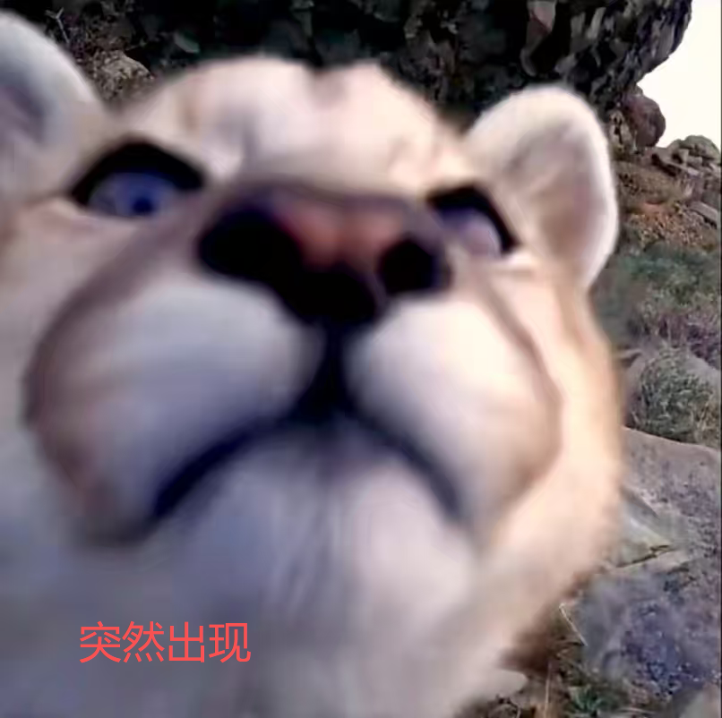 不知道AM5主板怎么选?2026御三家主板横评雷达图!