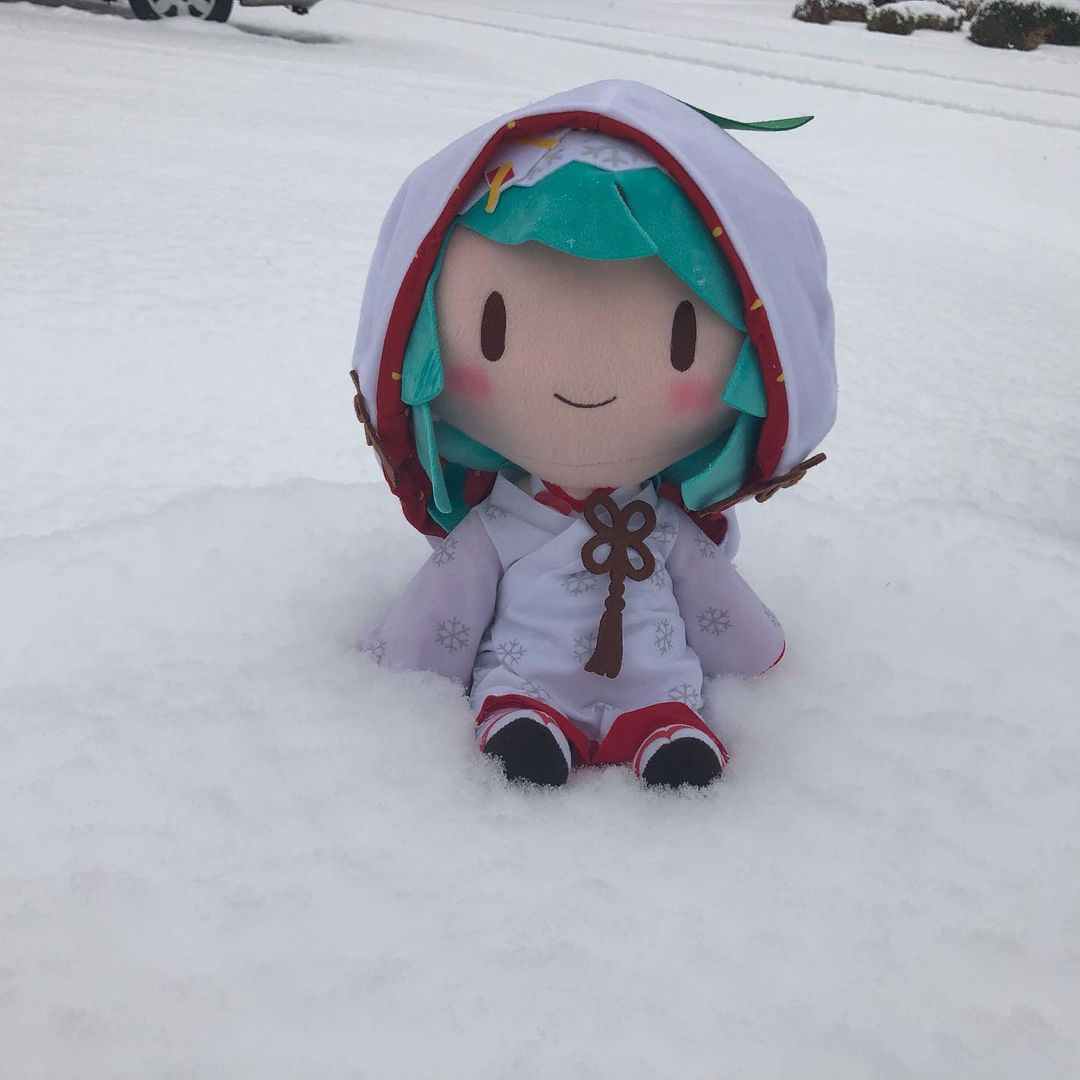 初音fufu玩偶头像 - 知乎