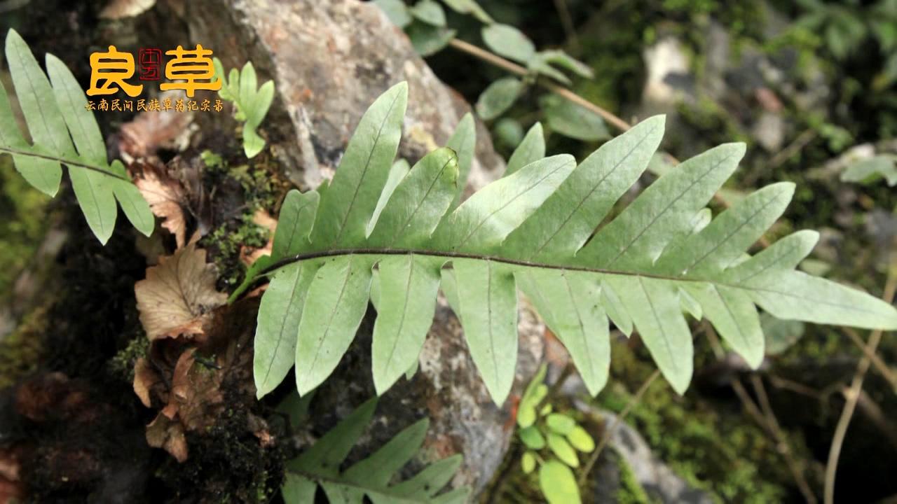 v2-64cbe9b0d245714c741a1d8647023a27_1440w.jpg?source=172ae18b