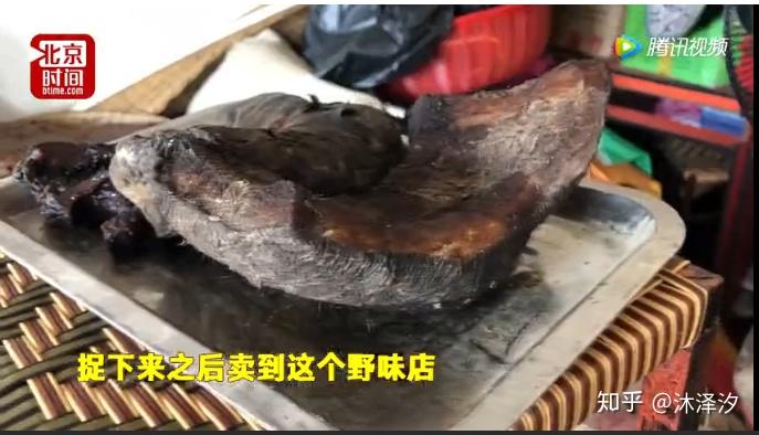 这个世界怎么了有钱真就可以吃雄心豹子胆了吗