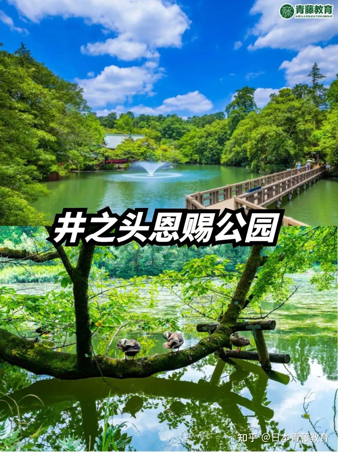 东京夏天|凉爽悠闲度过一天好去处7选🌳 - 知乎