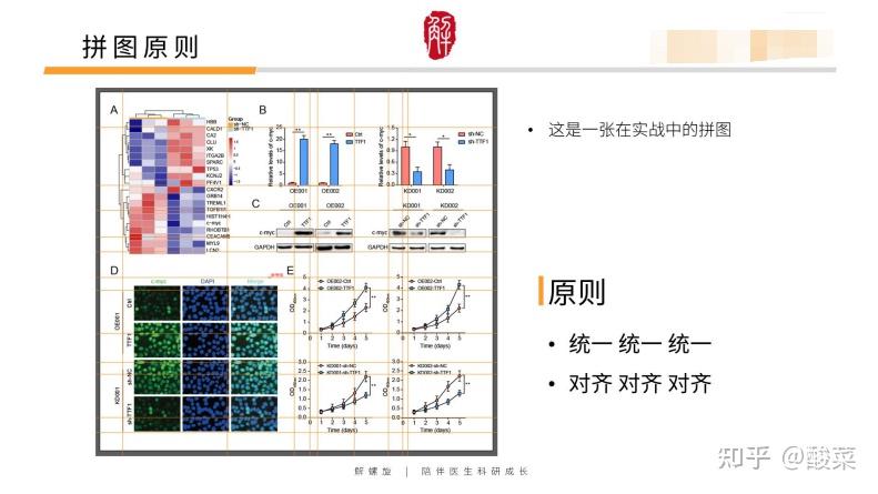 大揭秘! CNS顶刊的Figure图是这样画出来的! - 知乎