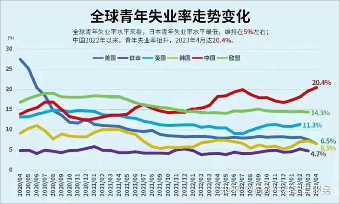 近几年大学生就业率图片