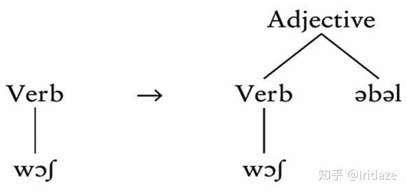第五周 形态学morphology