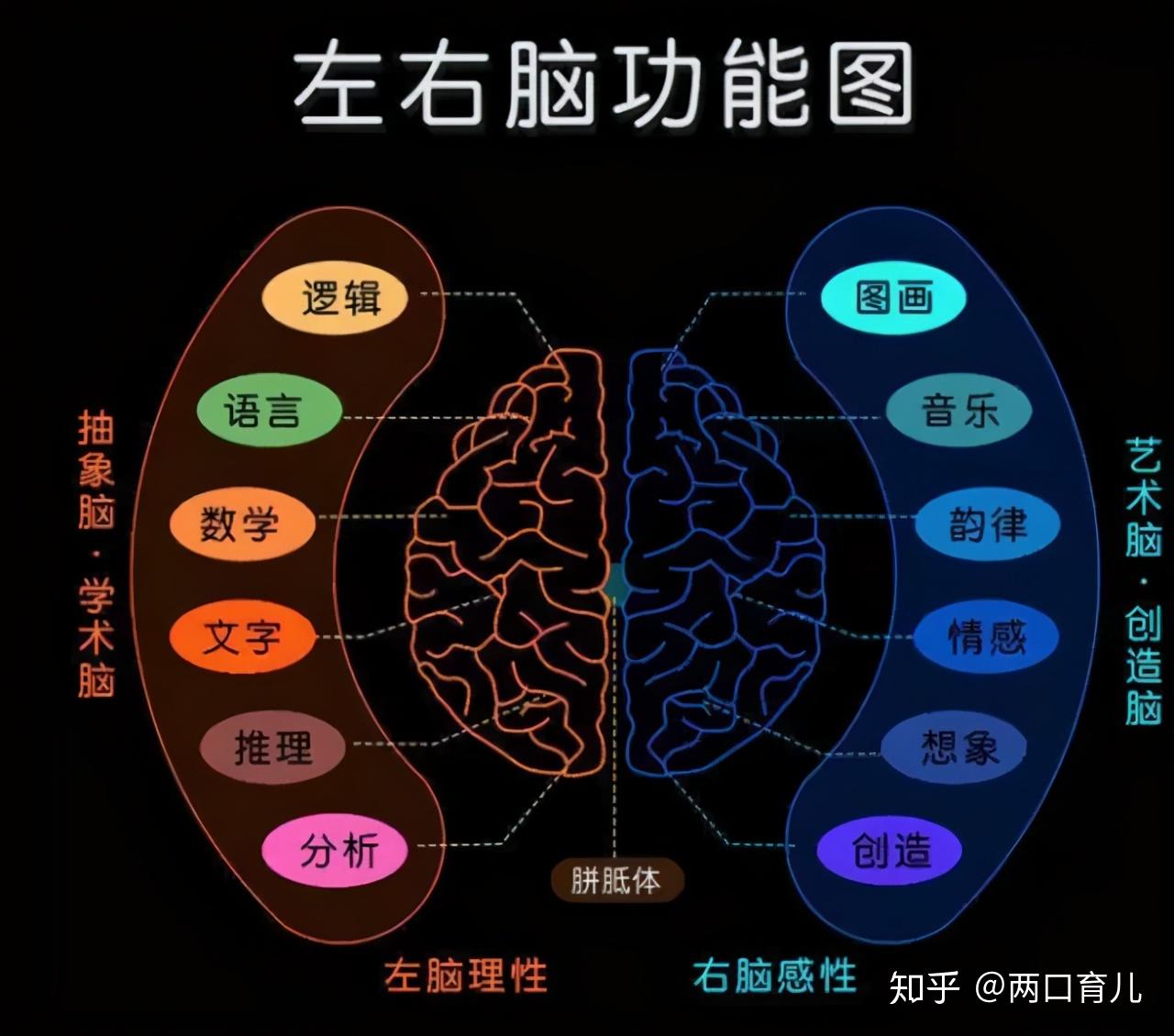左撇子的孩子更聪明?抓住大脑发育高峰期,左右脑一起开发会更好