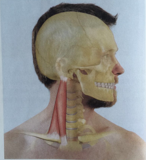 v2-650a706aa59a42f29db20ef331e5a62e_r.png