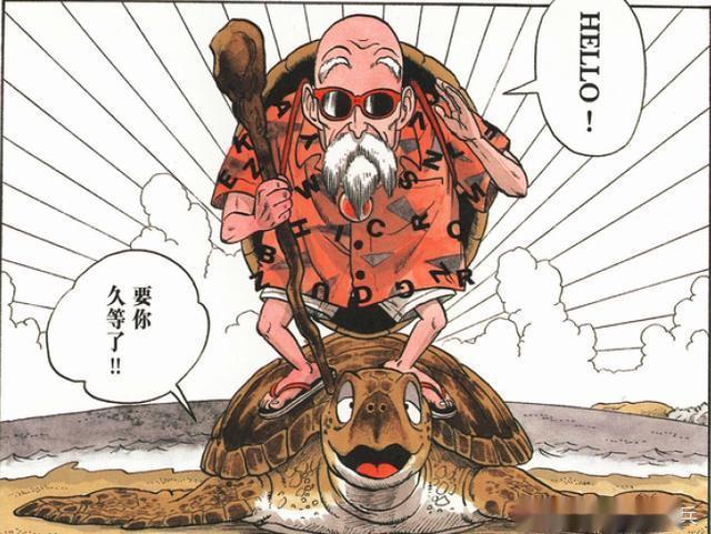 动漫里那些外号响过真名的角色!白胡子有原型,龟仙人自带身份证 - 知乎